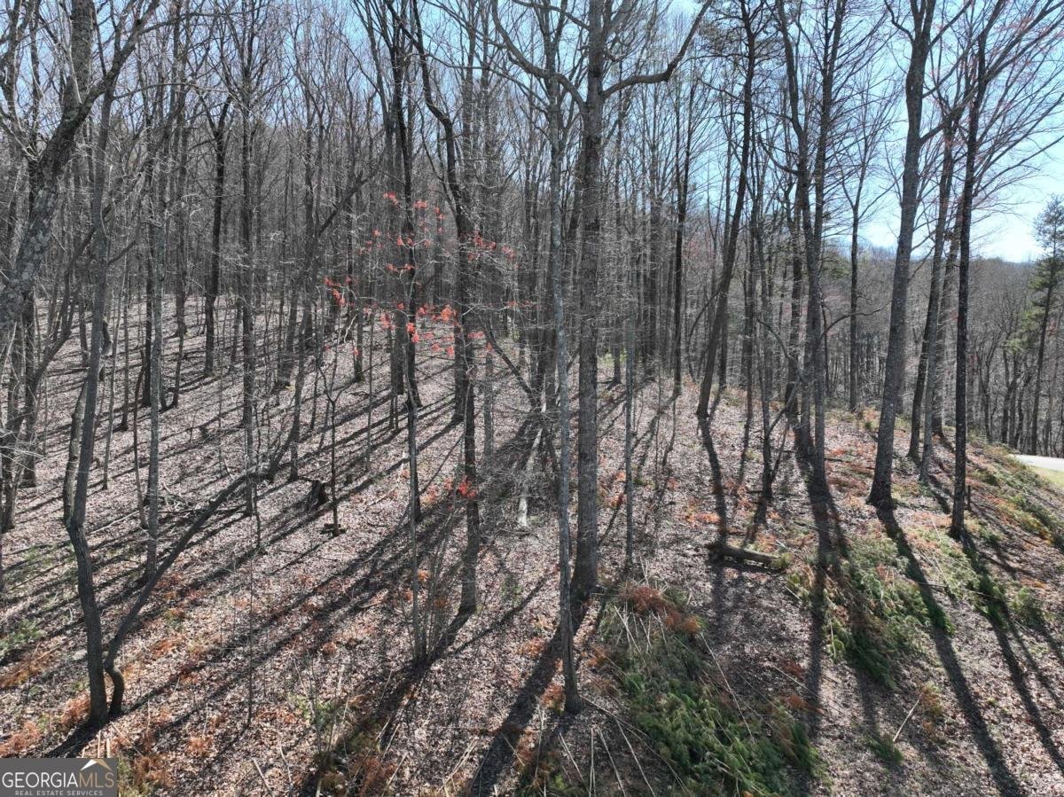 180 Trailwood Drive Ellijay - 41