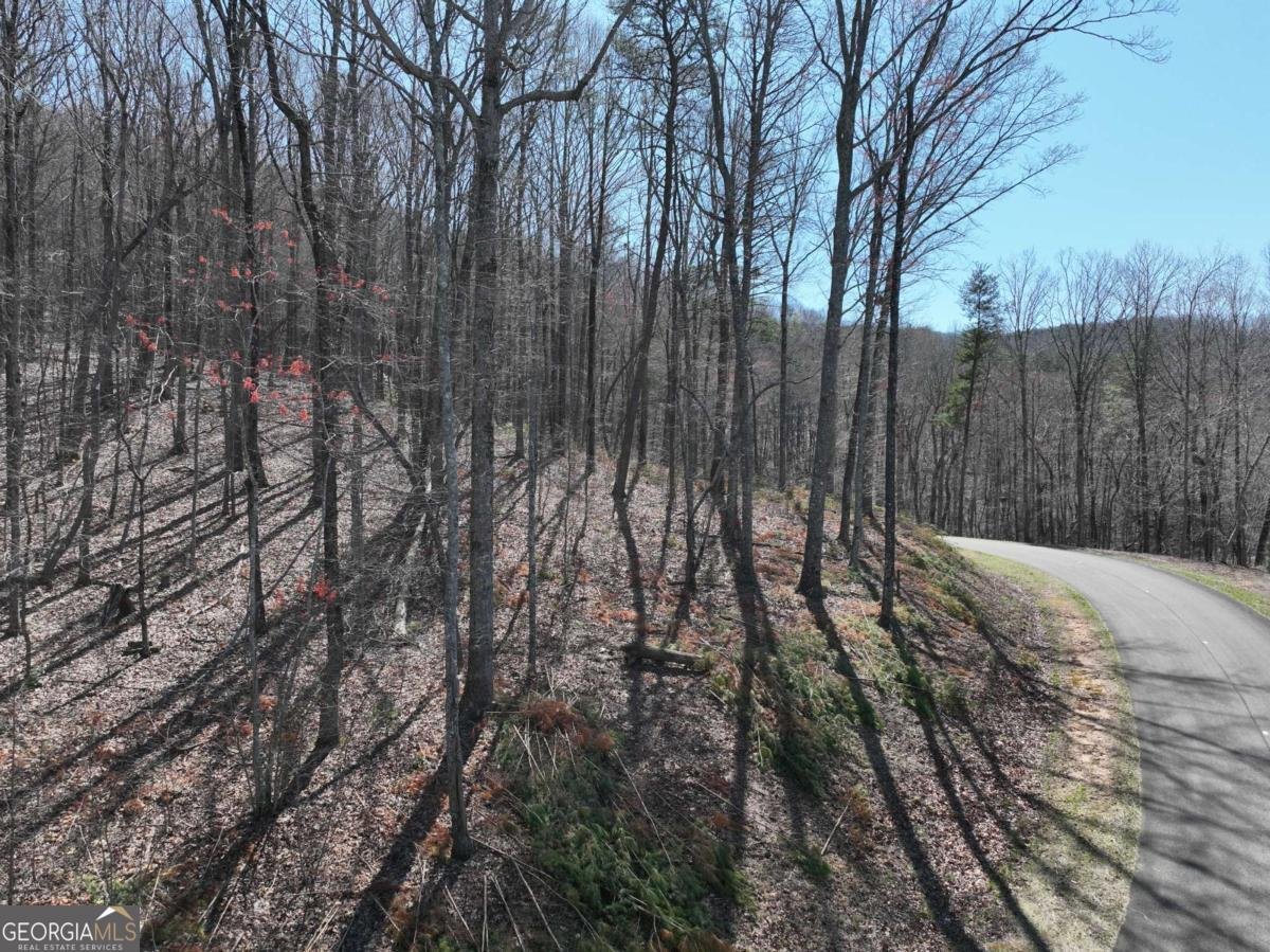 180 Trailwood Drive Ellijay - 42