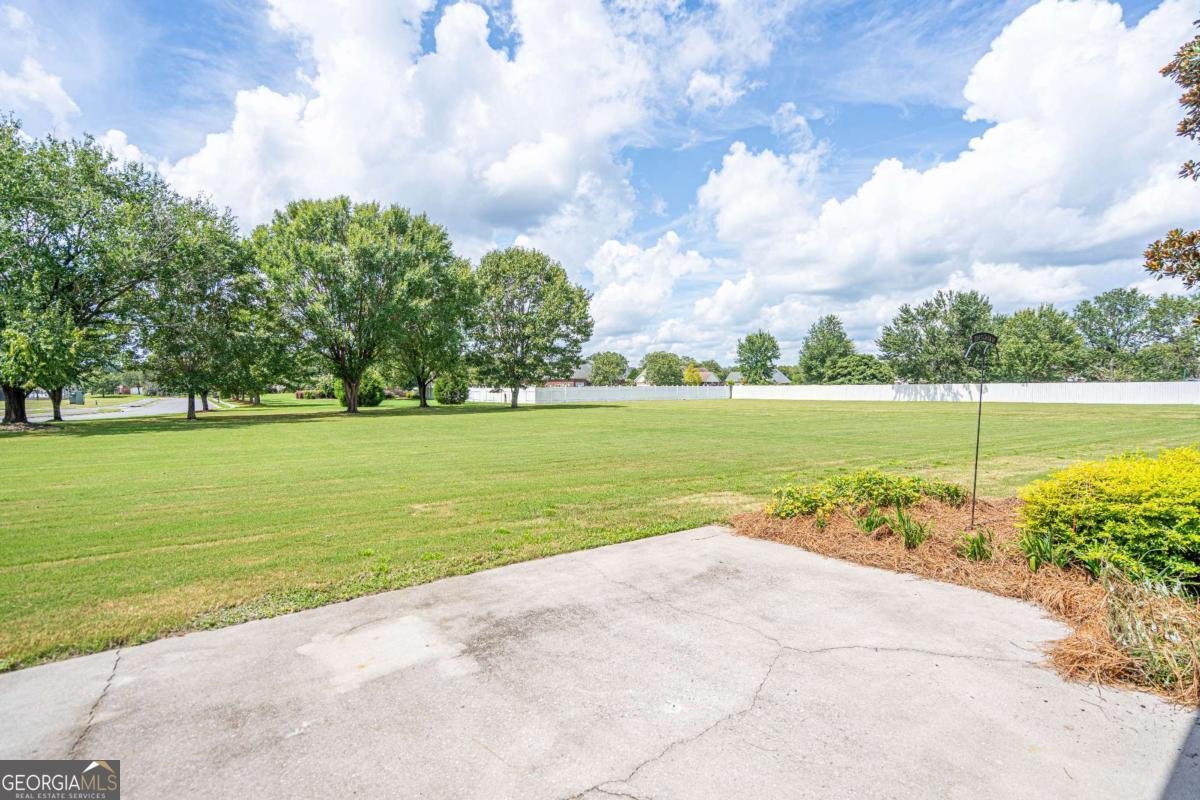301 Flat Bush Drive Guyton - 49