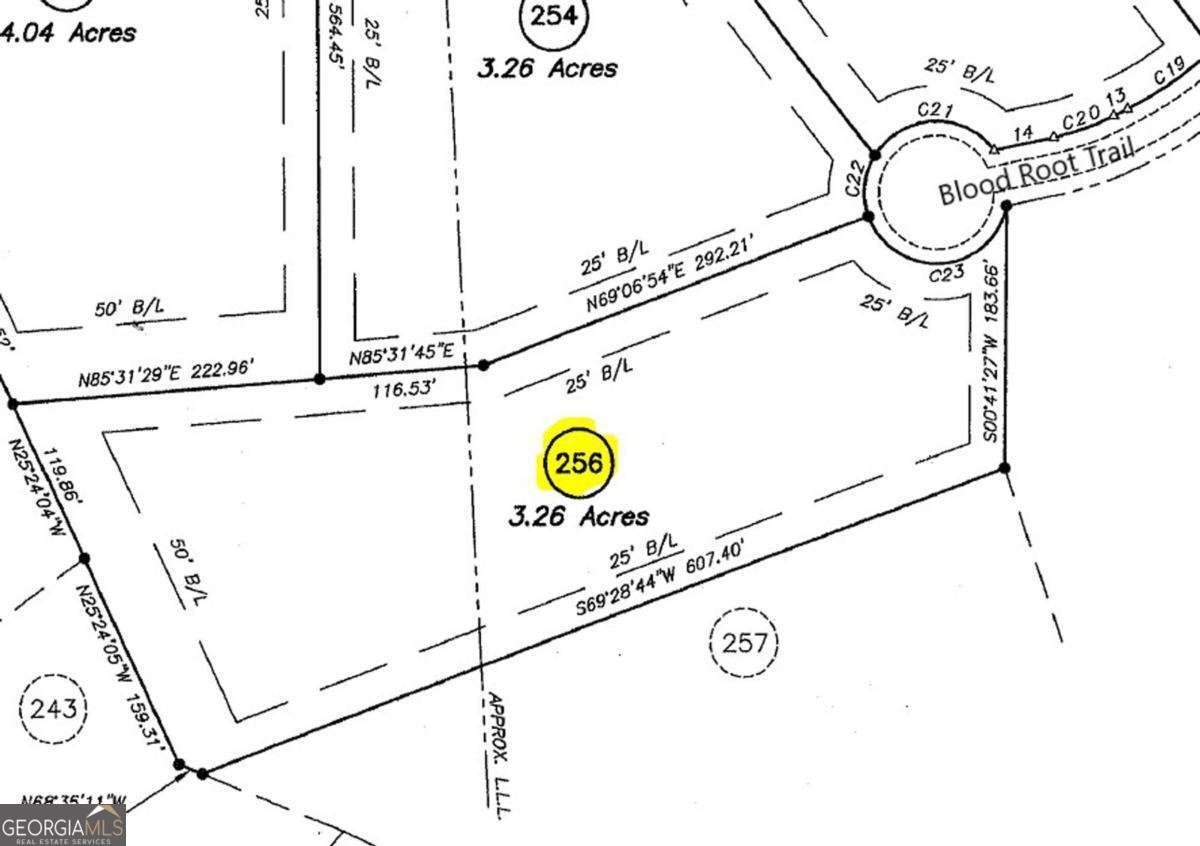 256 Blood Root Trail Ellijay - 26