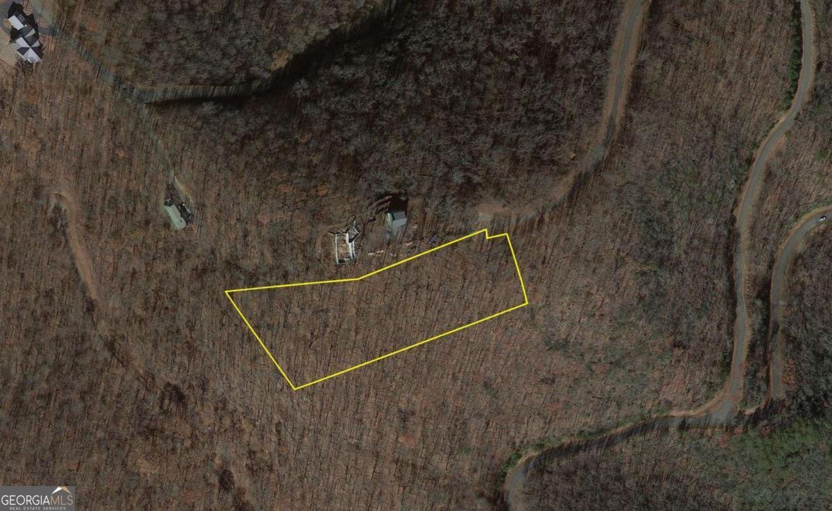 256 Blood Root Trail Ellijay - 31