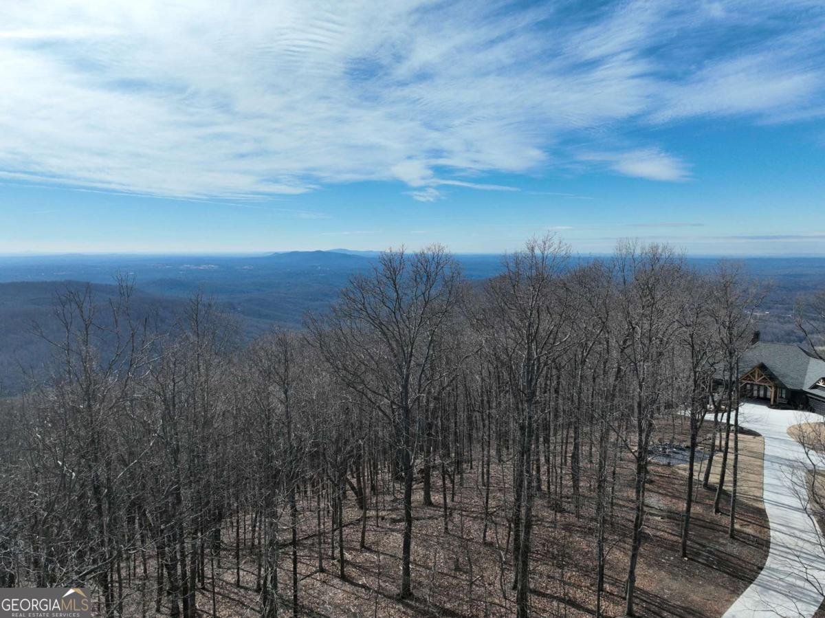 256 Blood Root Trail Ellijay - 32