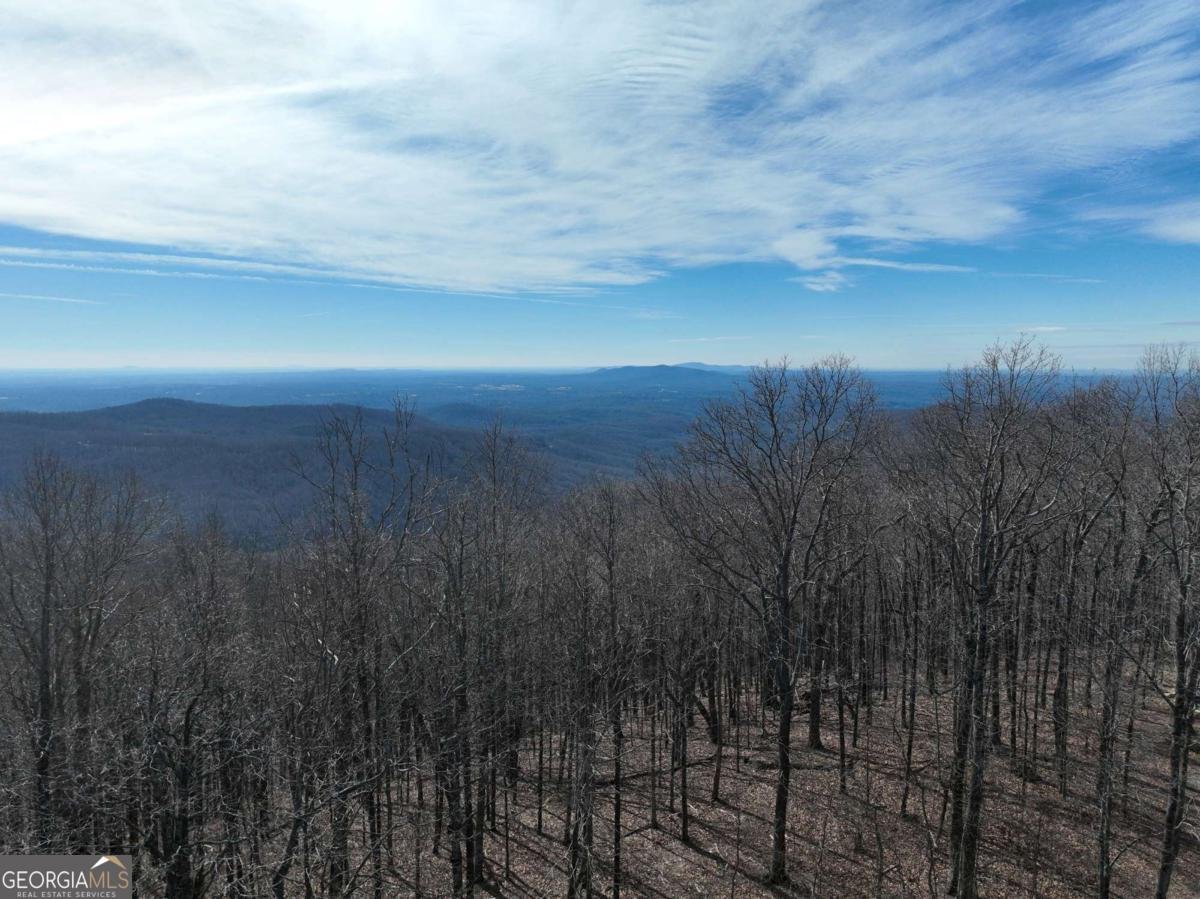 256 Blood Root Trail Ellijay - 33