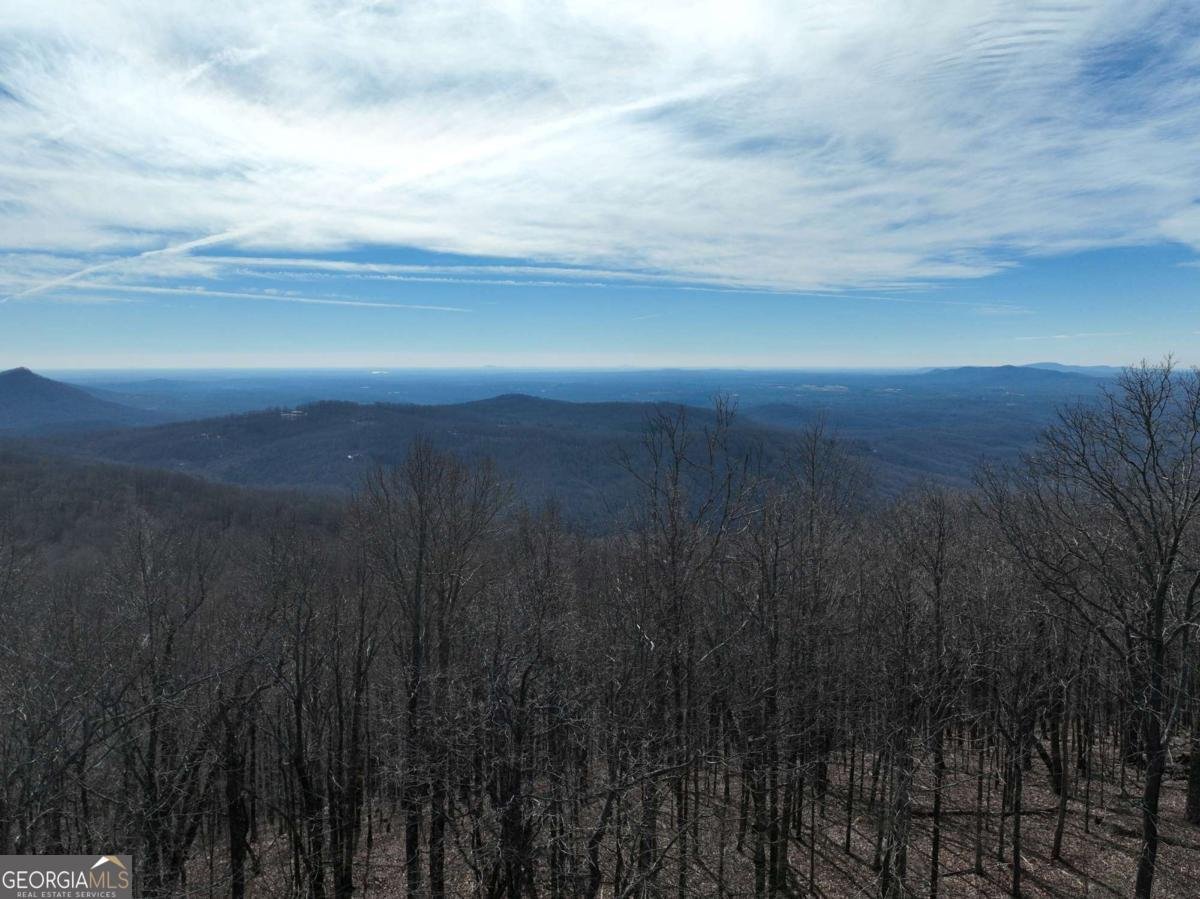 256 Blood Root Trail Ellijay - 34