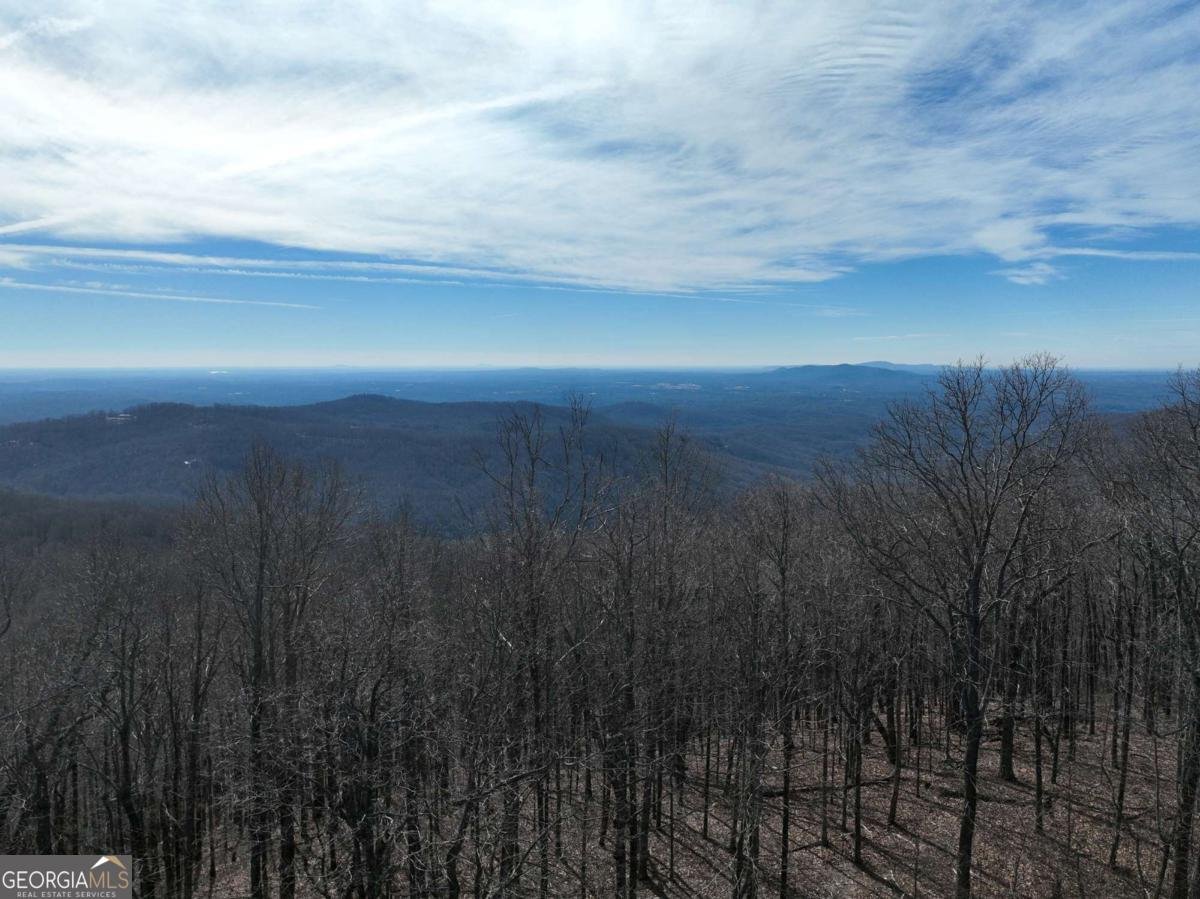 256 Blood Root Trail Ellijay - 36