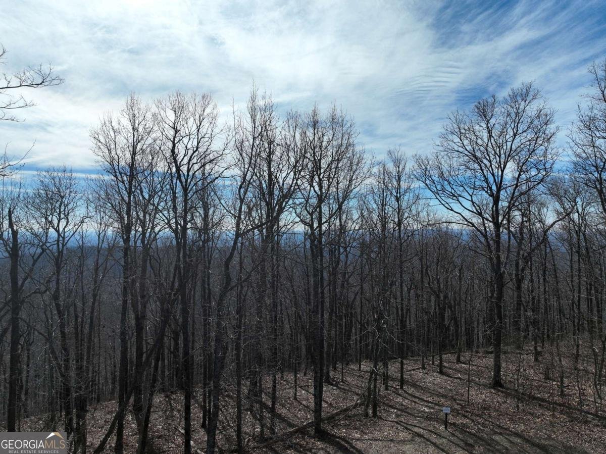 256 Blood Root Trail Ellijay - 37