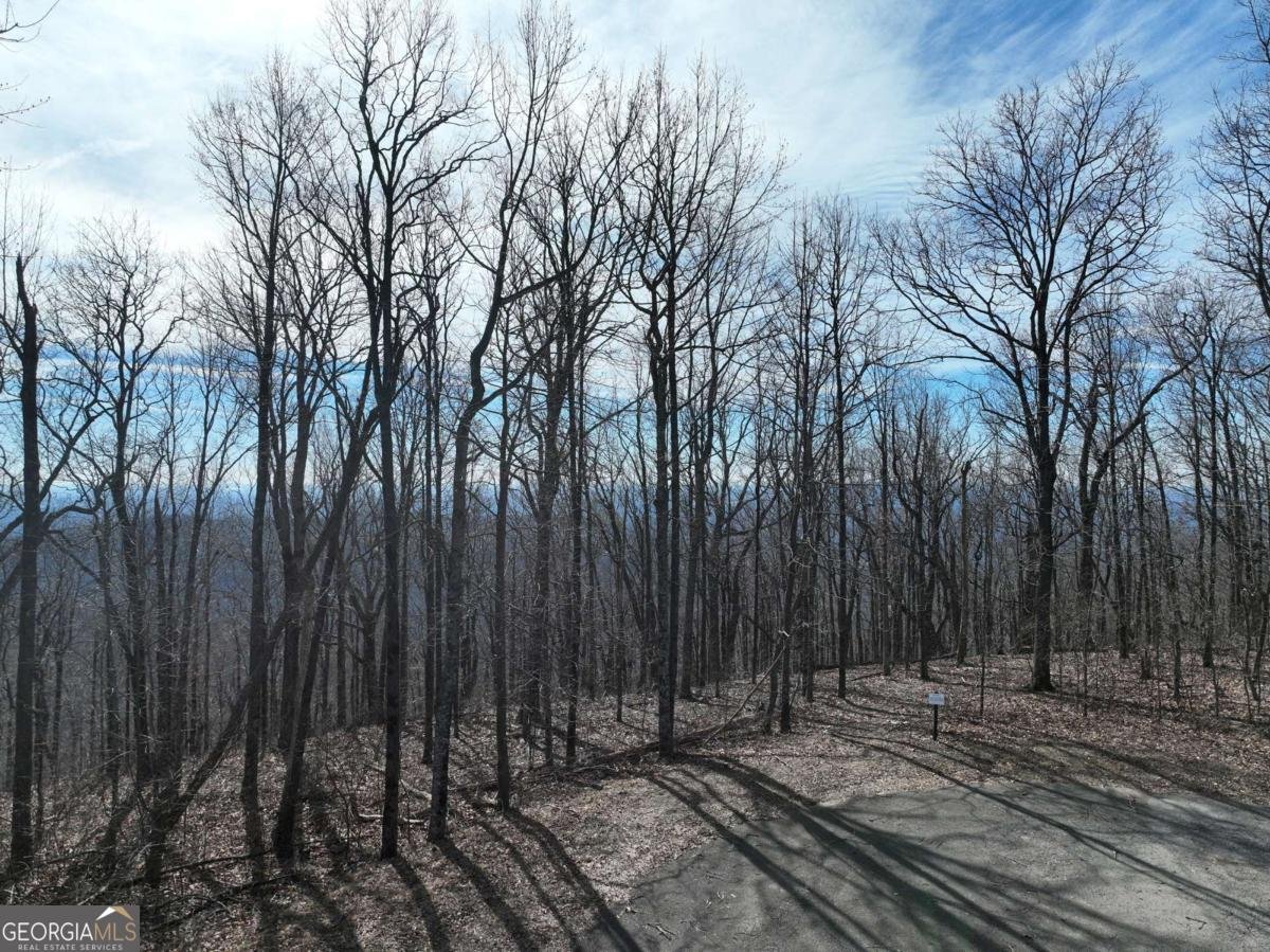 256 Blood Root Trail Ellijay - 38