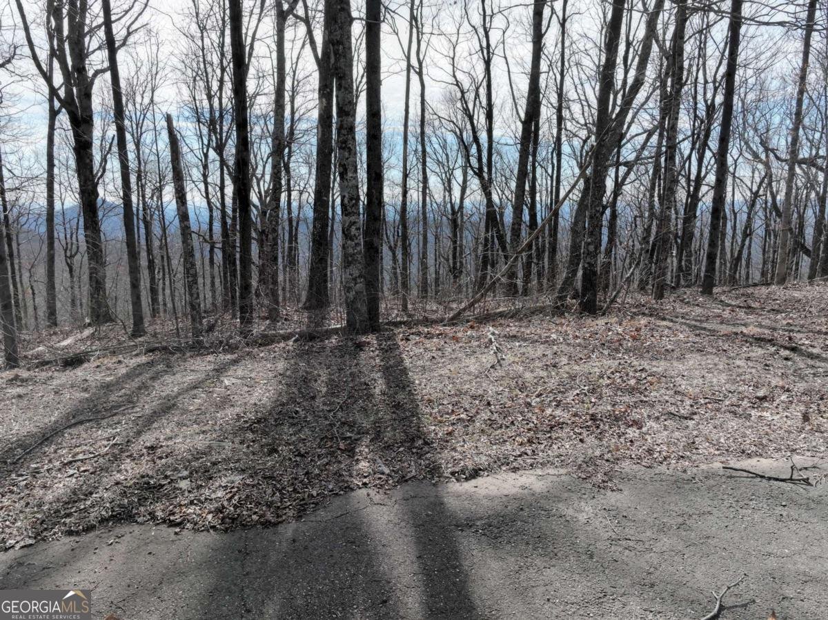 256 Blood Root Trail Ellijay - 39
