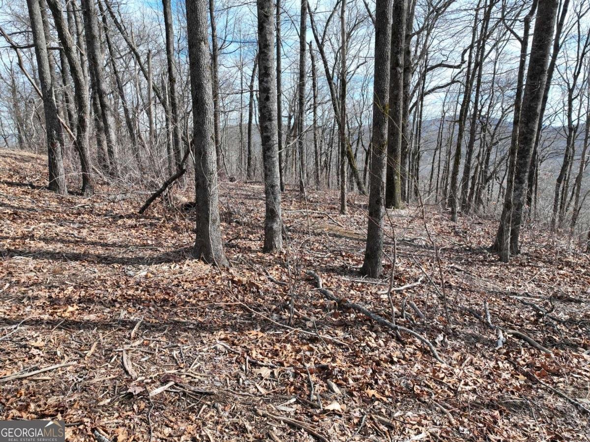 256 Blood Root Trail Ellijay - 40