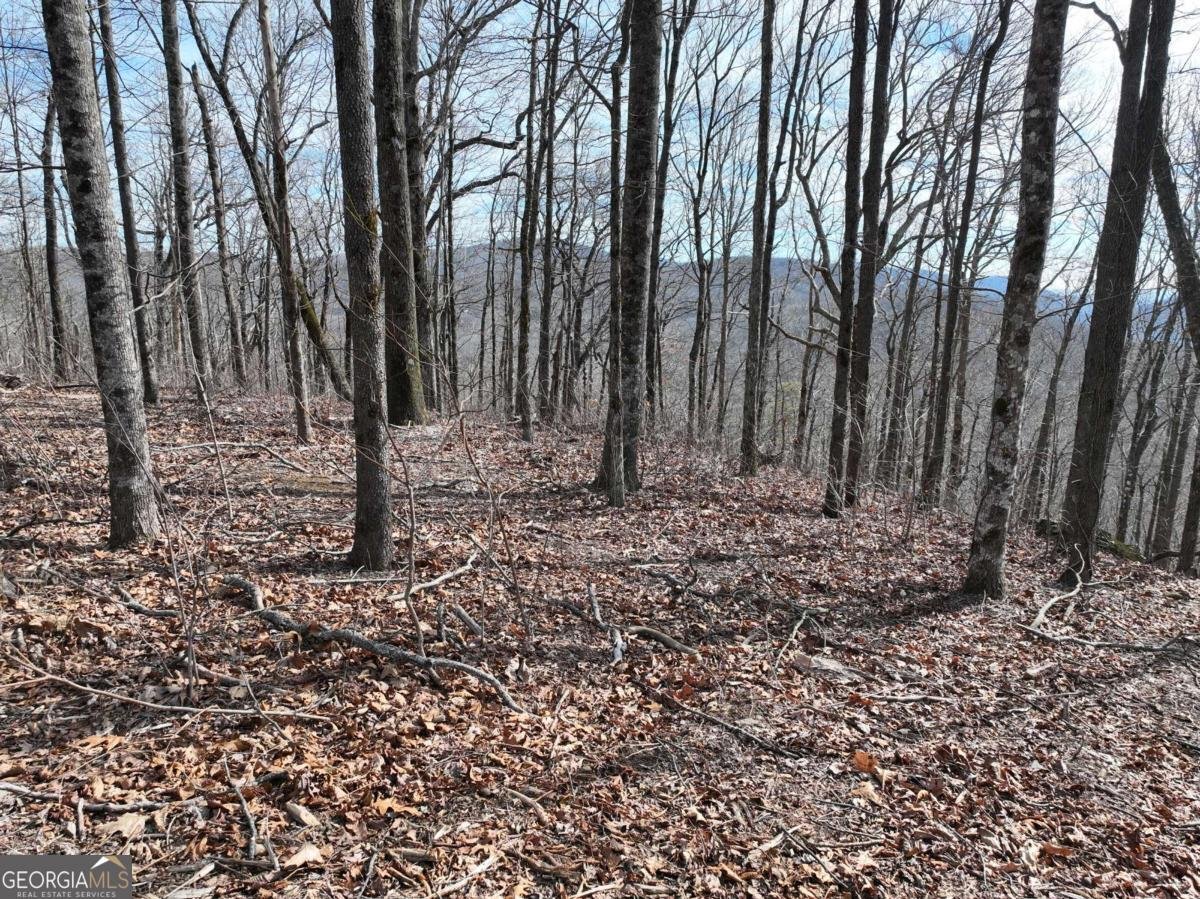256 Blood Root Trail Ellijay - 41