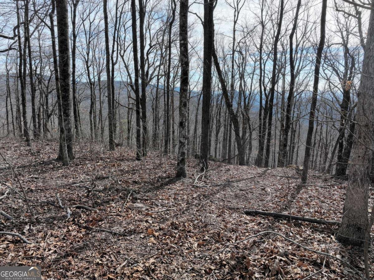 256 Blood Root Trail Ellijay - 42