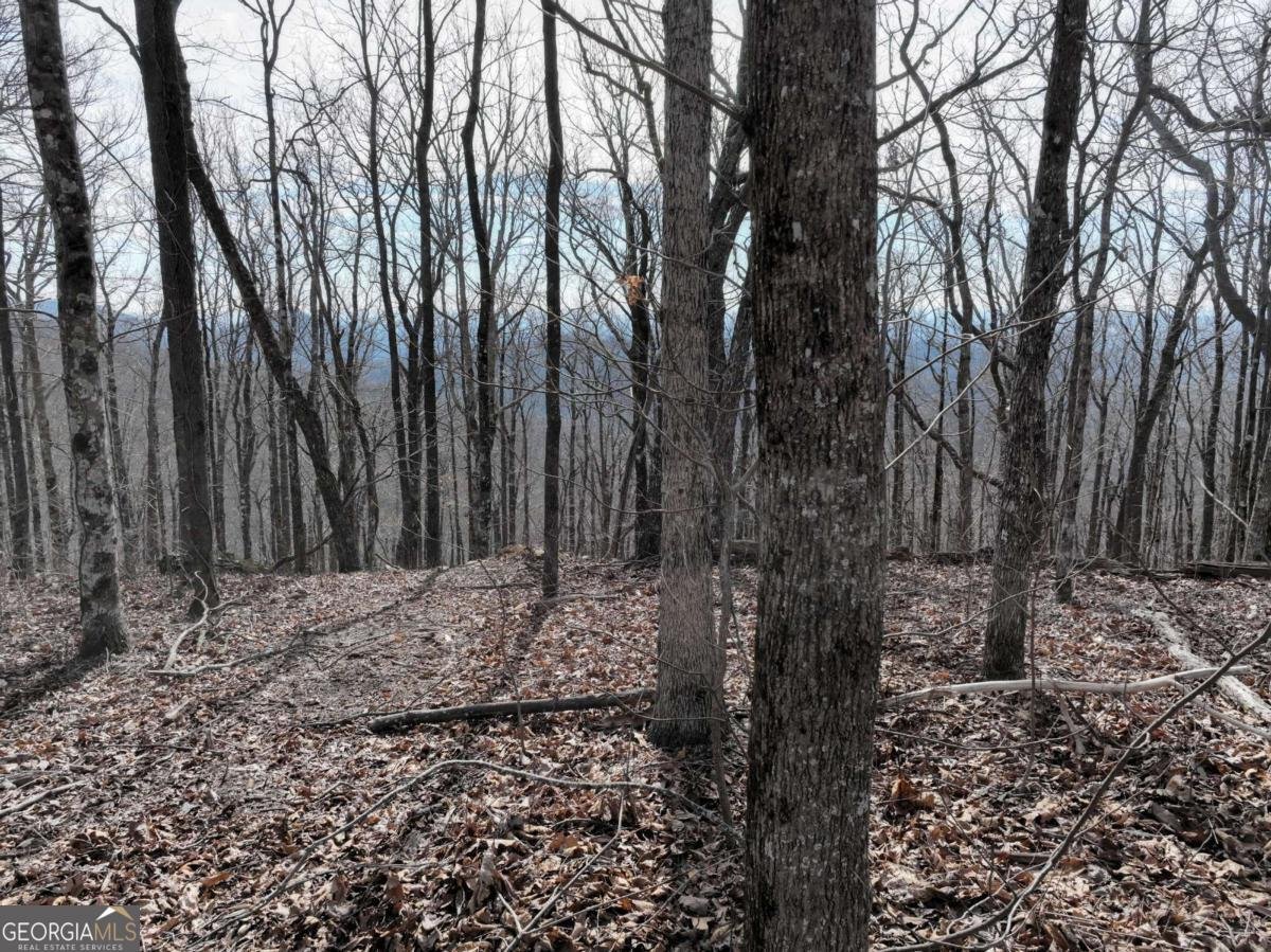 256 Blood Root Trail Ellijay - 43