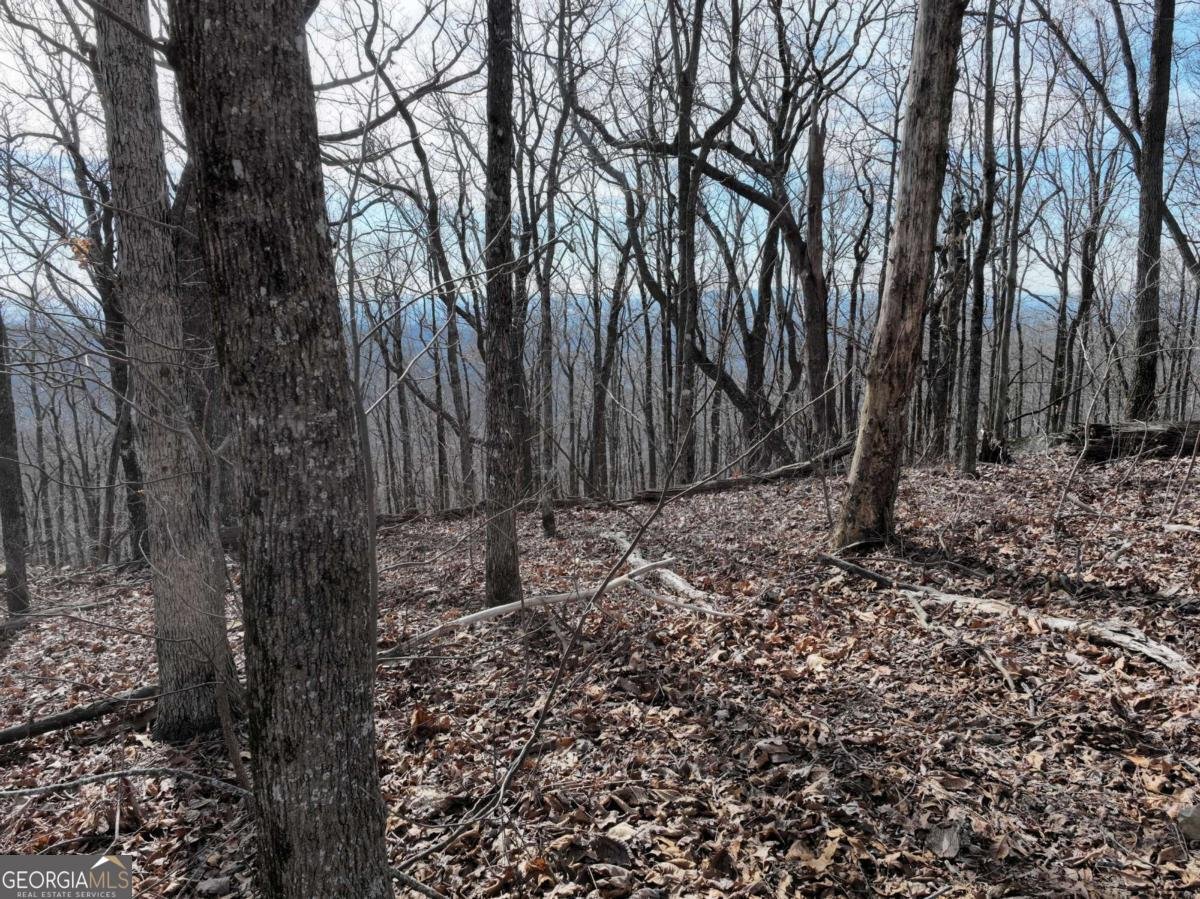 256 Blood Root Trail Ellijay - 44