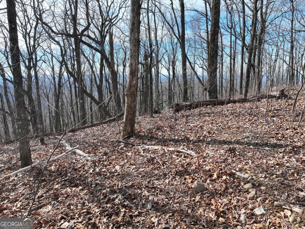 256 Blood Root Trail Ellijay - 45