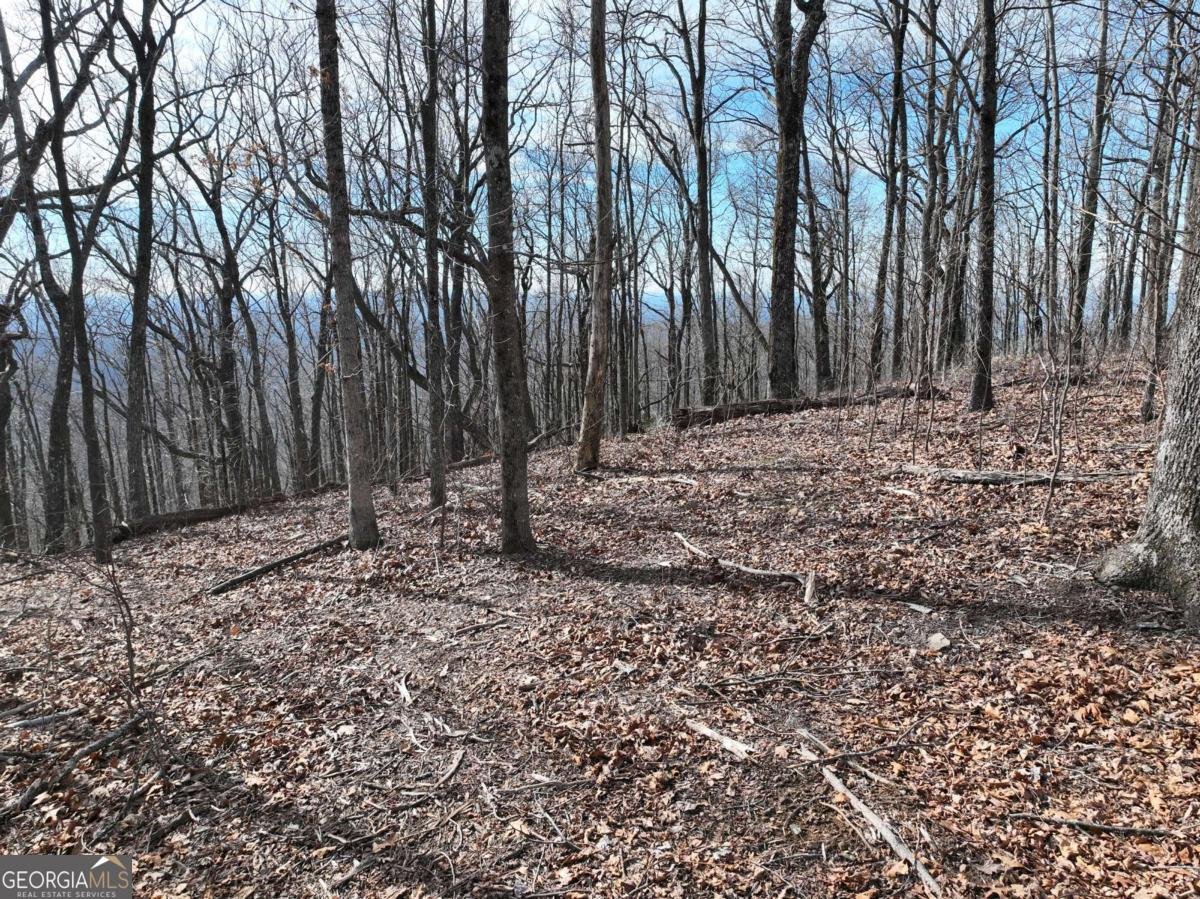 256 Blood Root Trail Ellijay - 46