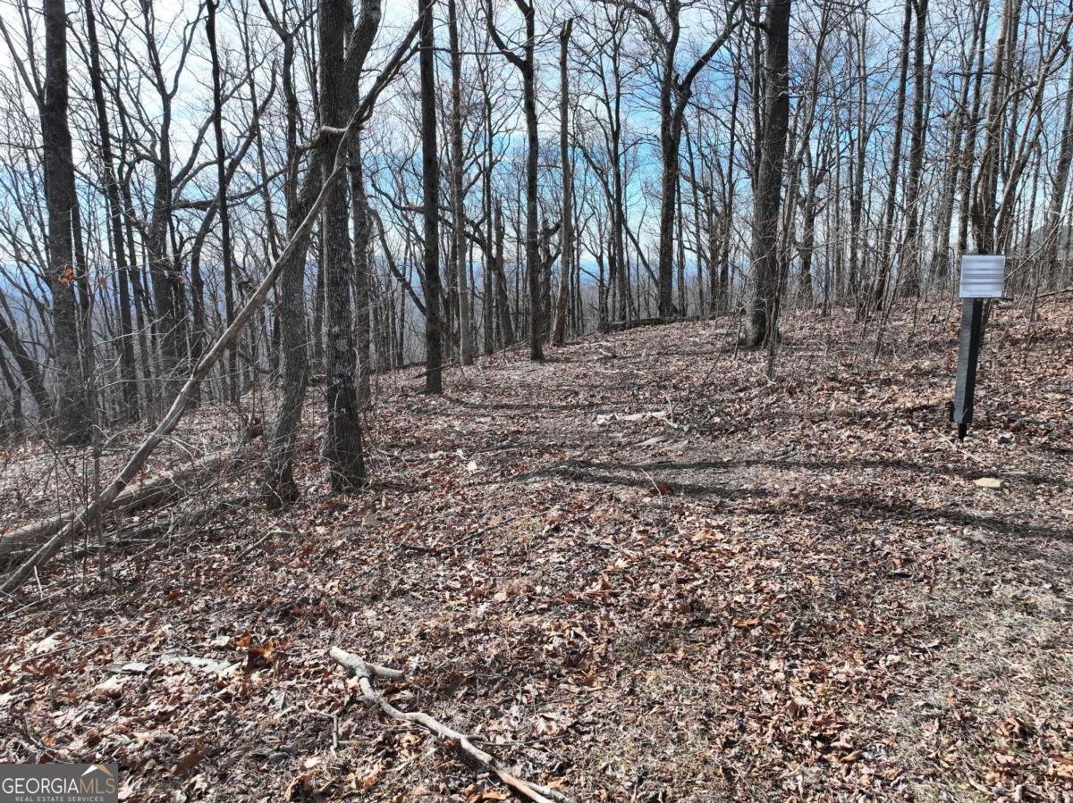 256 Blood Root Trail Ellijay - 47