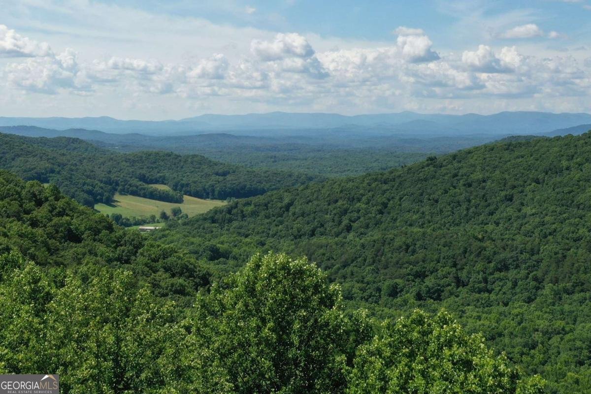 270R Stone Cliff Drive Ellijay - 12