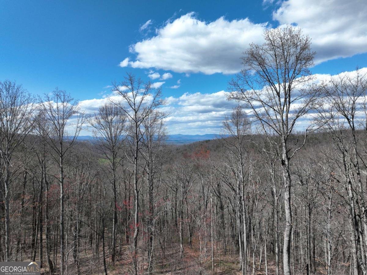 270R Stone Cliff Drive Ellijay - 15