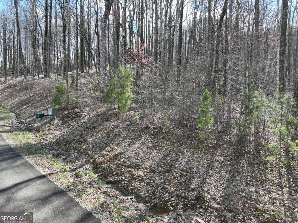 270R Stone Cliff Drive Ellijay - 16