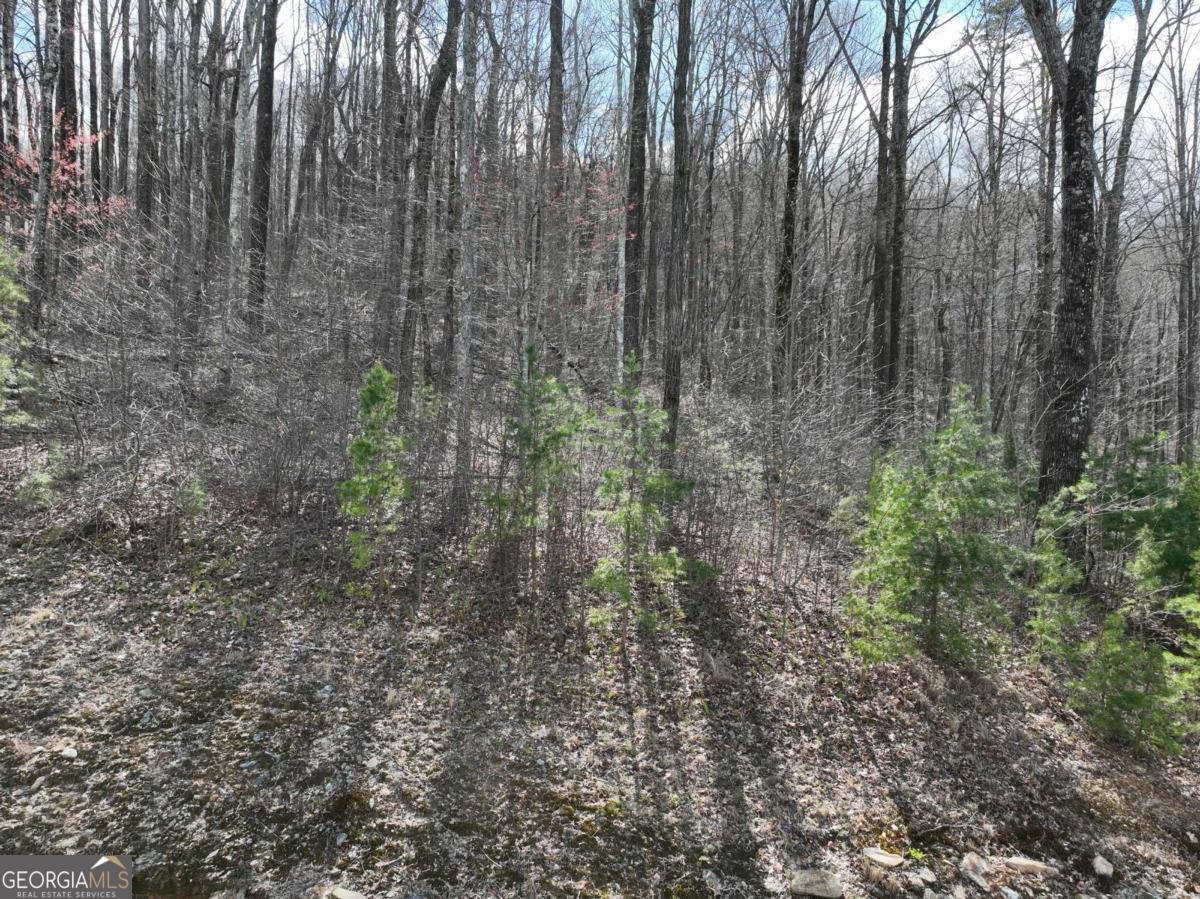 270R Stone Cliff Drive Ellijay - 17