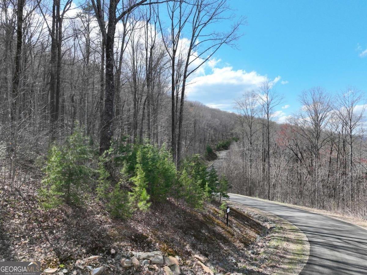 270R Stone Cliff Drive Ellijay - 18