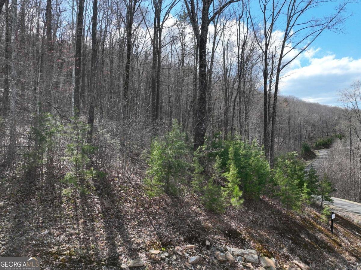 270R Stone Cliff Drive Ellijay - 20