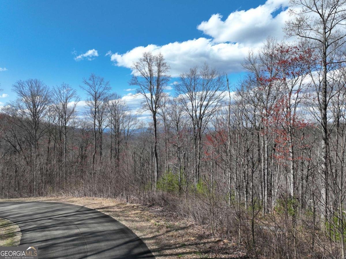 270R Stone Cliff Drive Ellijay - 21