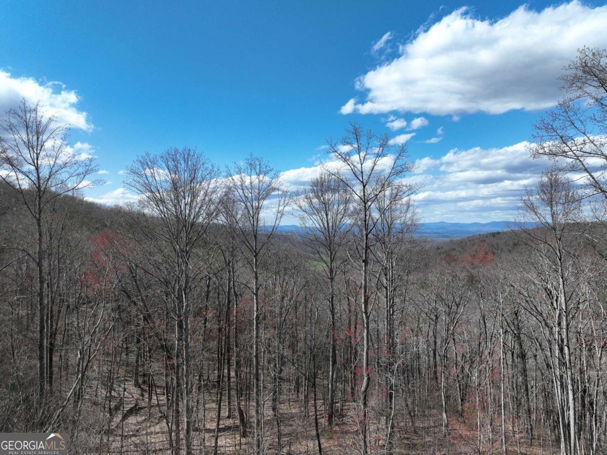 270R Stone Cliff Drive Ellijay - 25