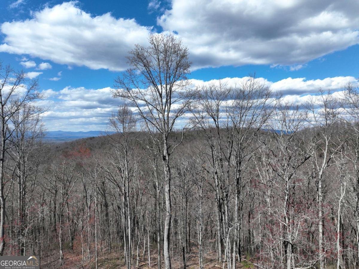 270R Stone Cliff Drive Ellijay - 26