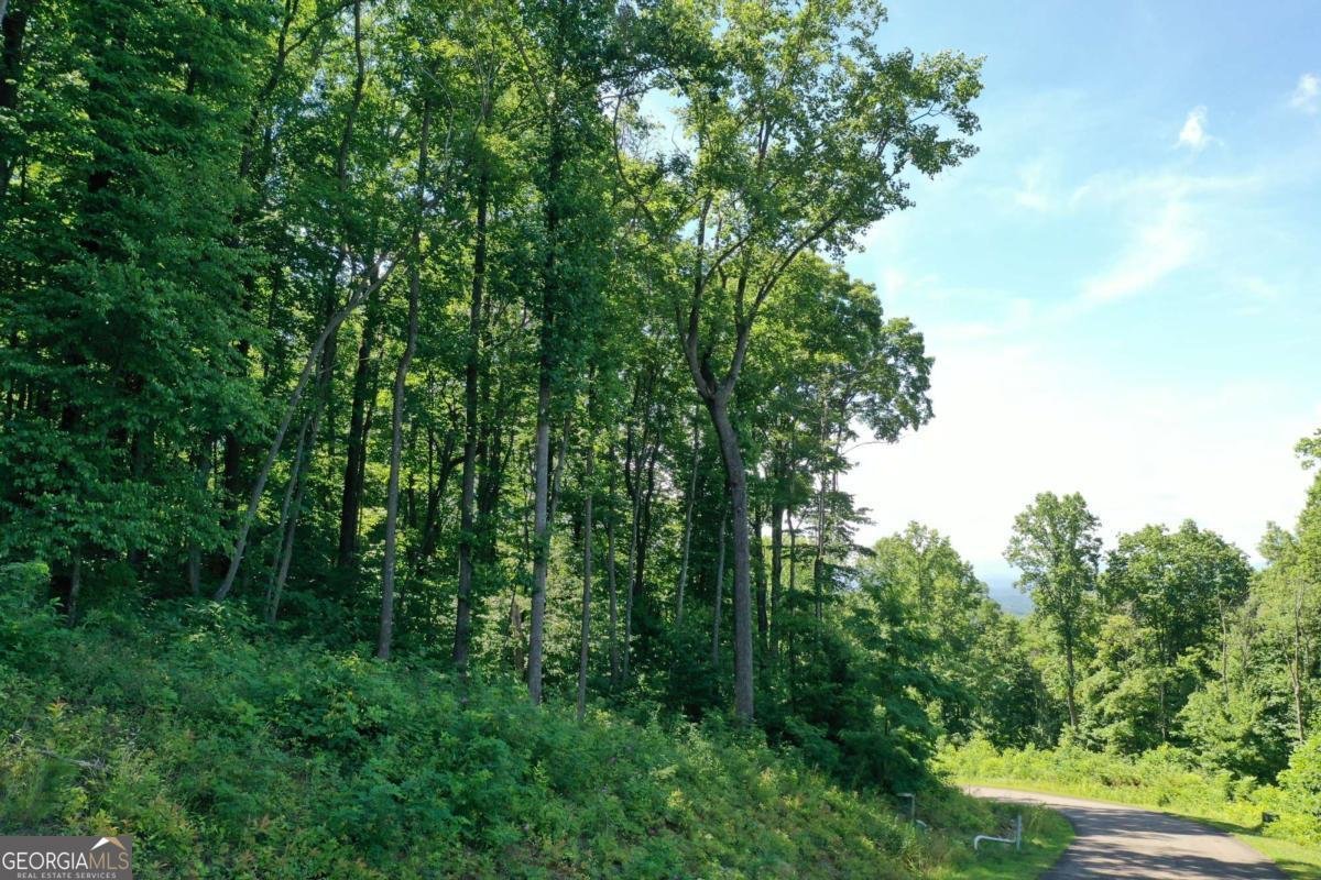 270R Stone Cliff Drive Ellijay - 29
