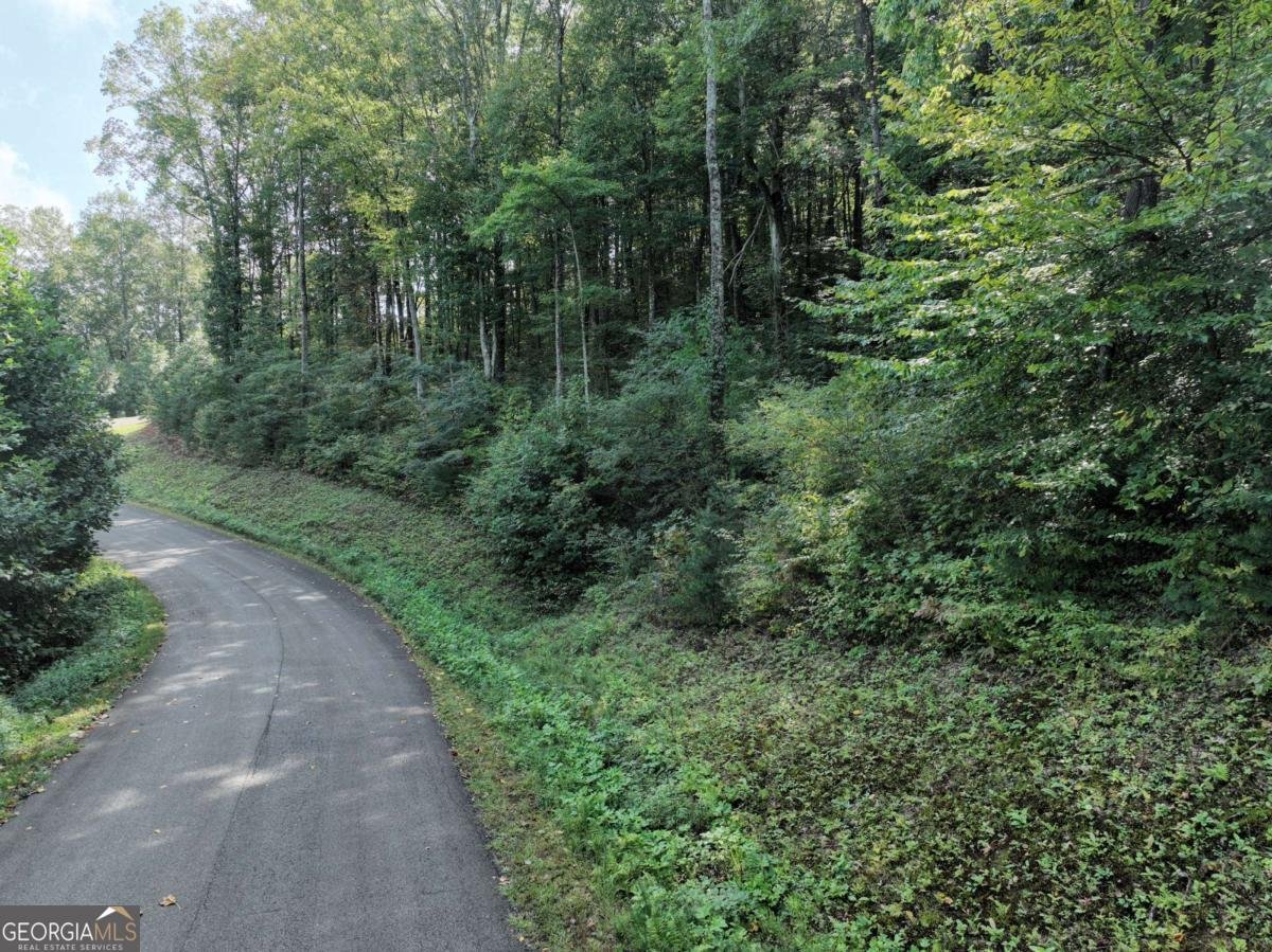 270R Stone Cliff Drive Ellijay - 30