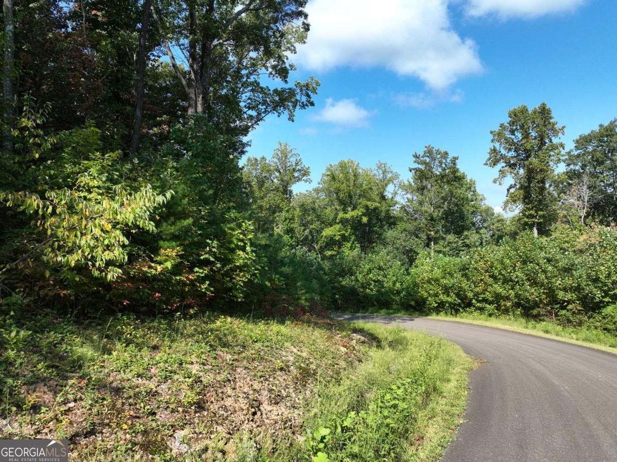 270R Stone Cliff Drive Ellijay - 31