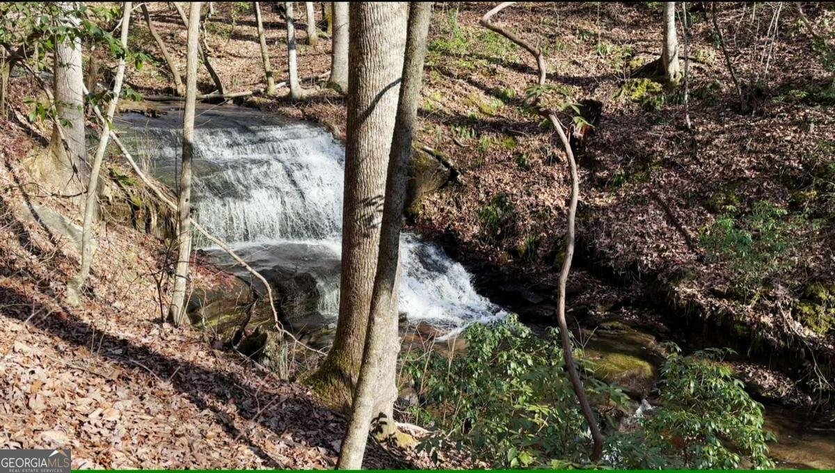 216 St Andrews Way Ellijay - 35