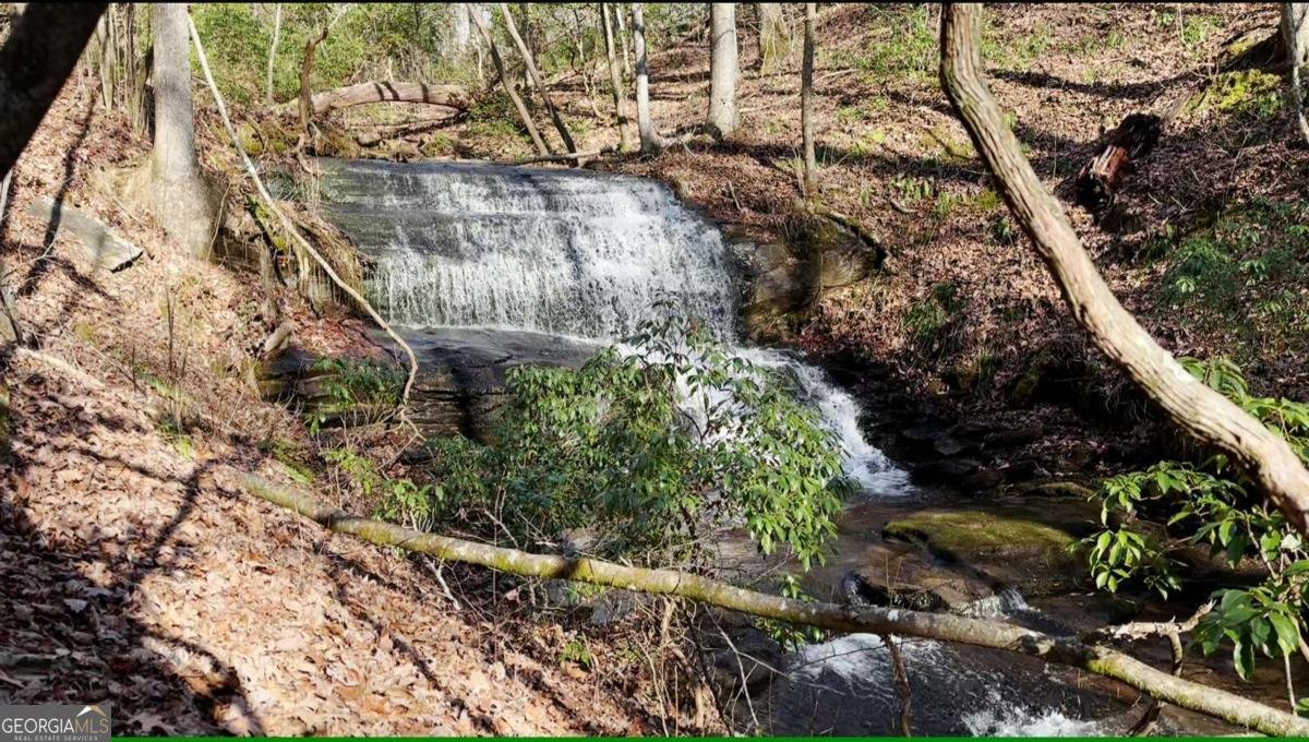 216 St Andrews Way Ellijay - 36