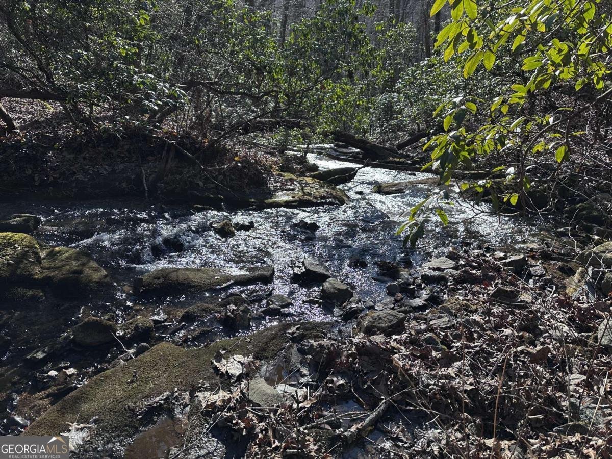 216 St Andrews Way Ellijay - 37