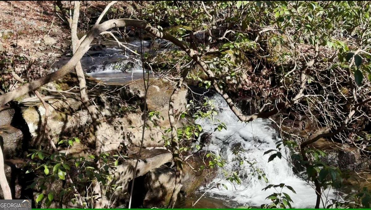 216 St Andrews Way Ellijay - 39