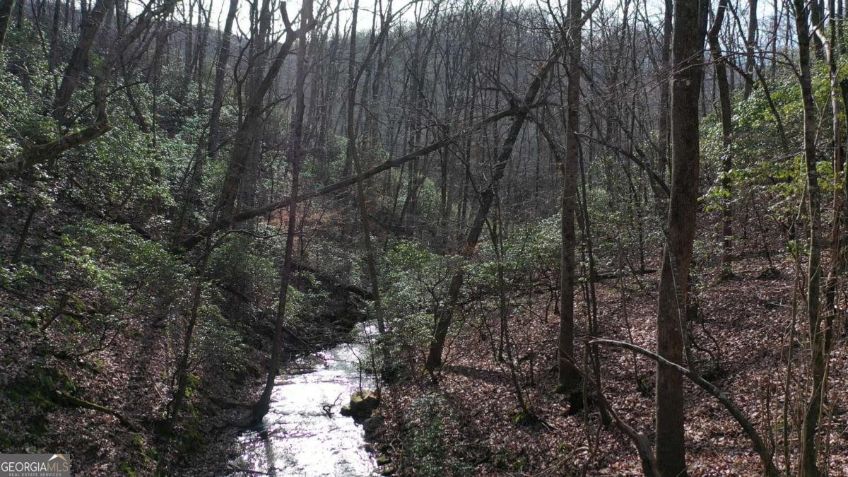 216 St Andrews Way Ellijay - 40