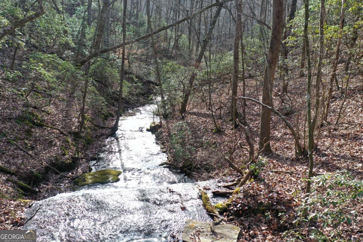 216 St Andrews Way Ellijay - 41