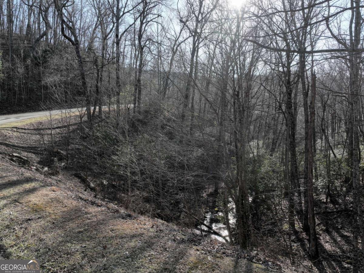 216 St Andrews Way Ellijay - 42