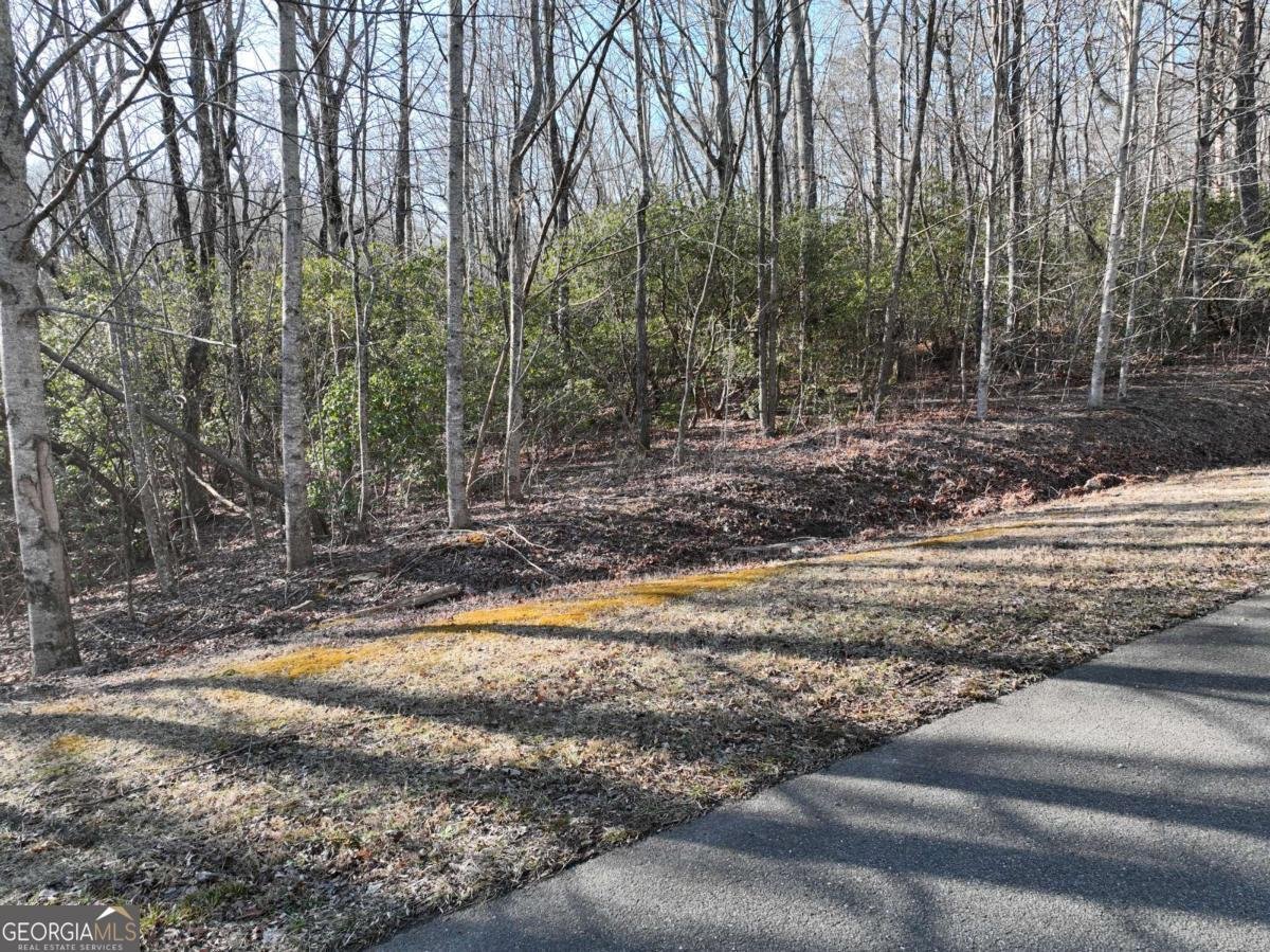 216 St Andrews Way Ellijay - 43