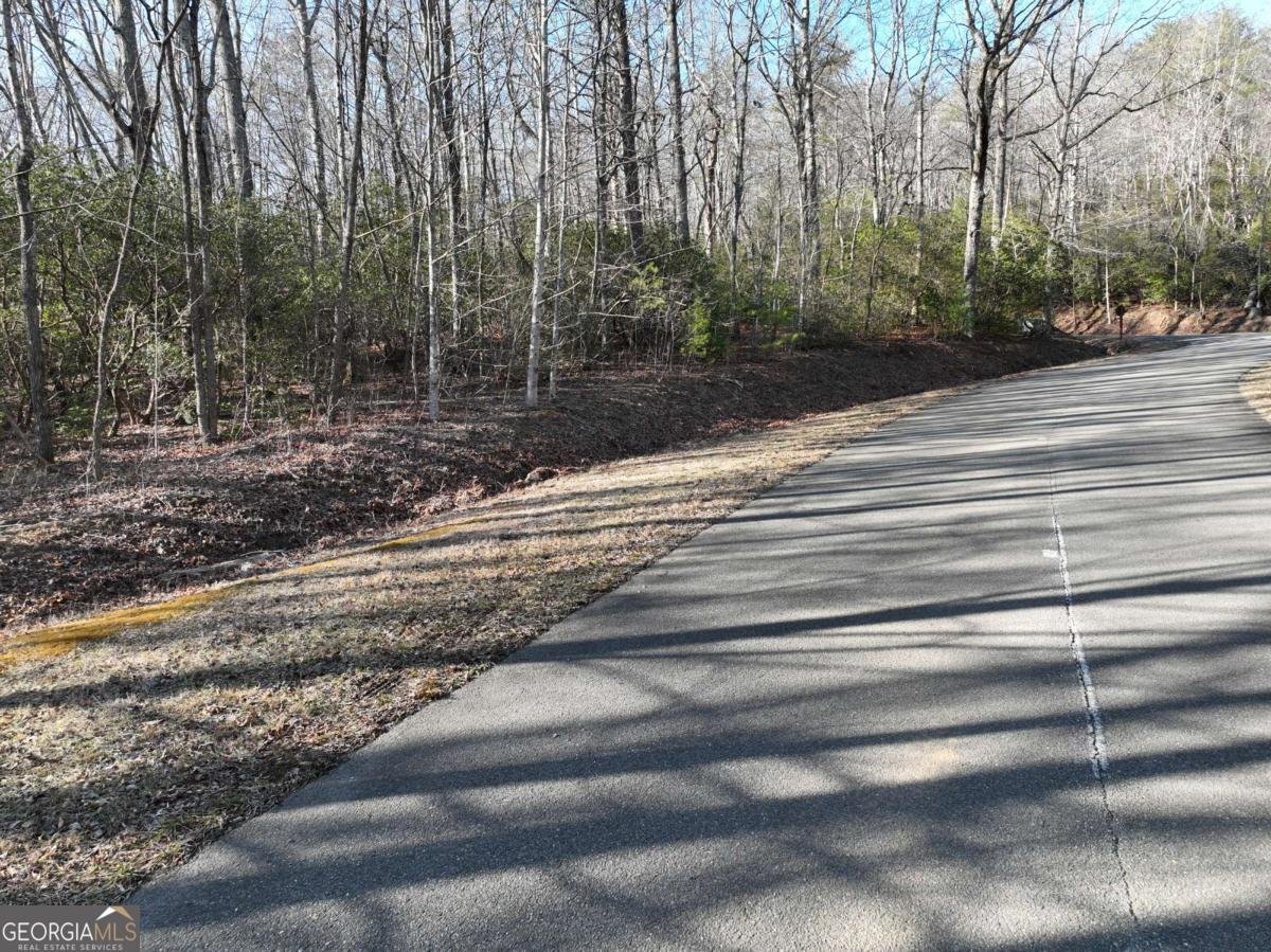 216 St Andrews Way Ellijay - 44