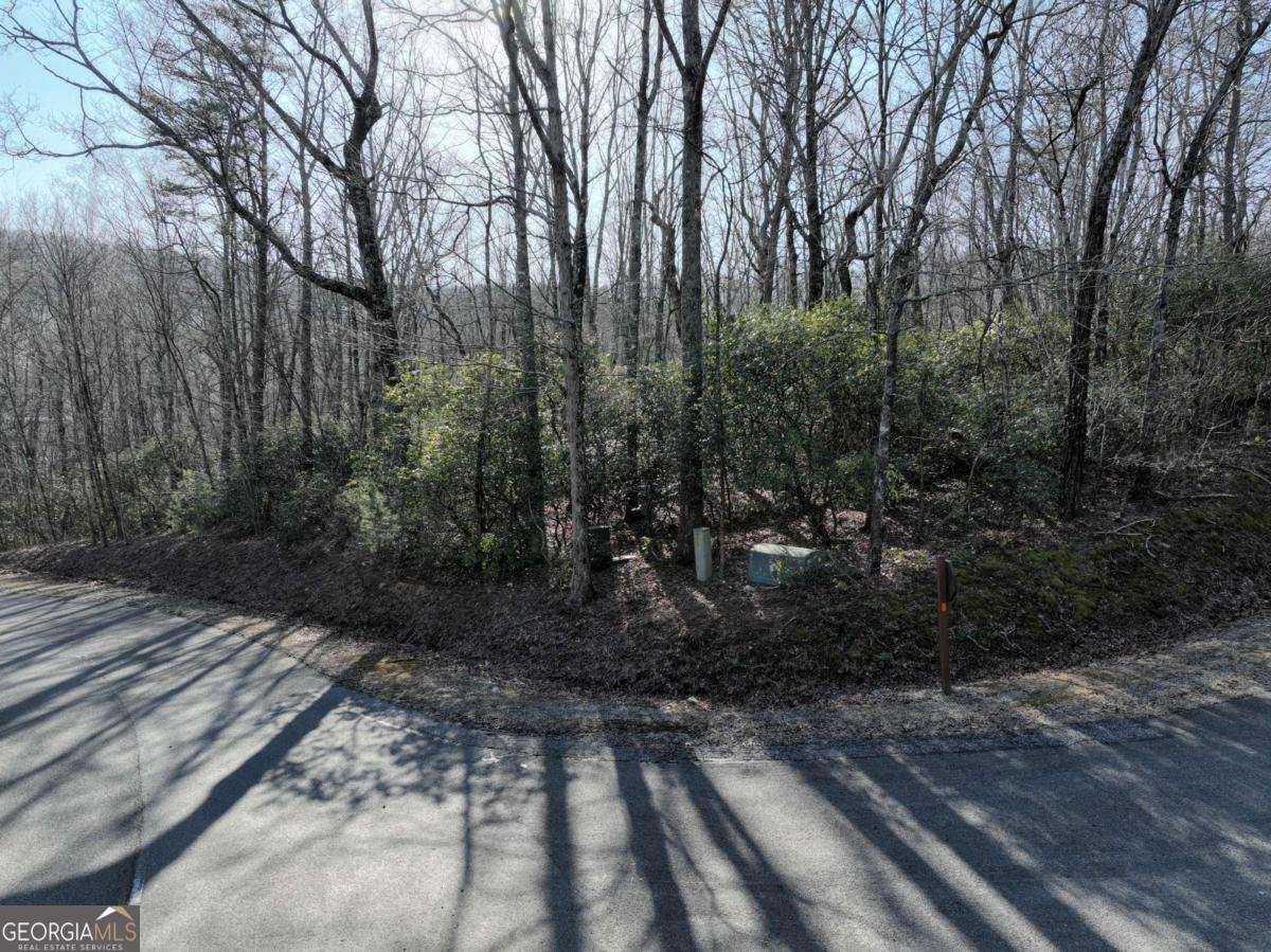 216 St Andrews Way Ellijay - 45