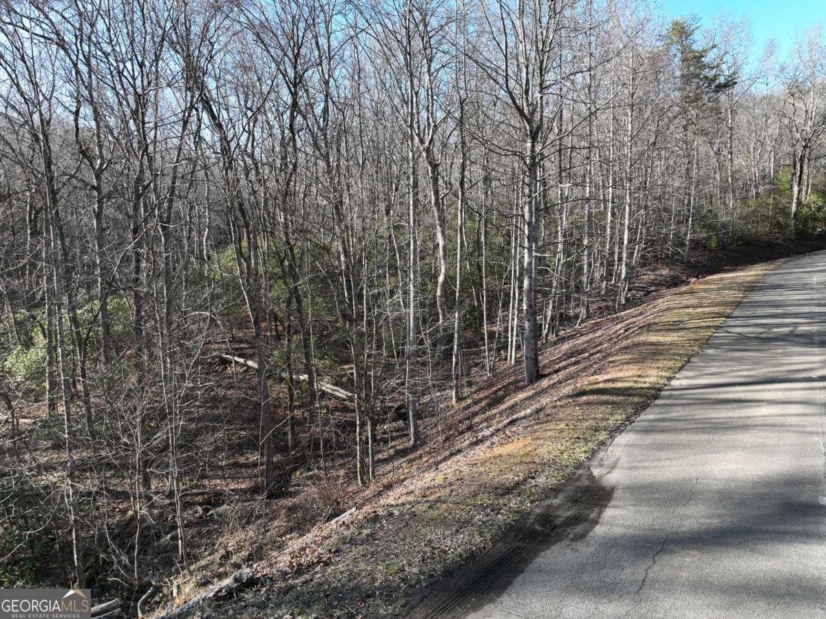 216 St Andrews Way Ellijay - 48