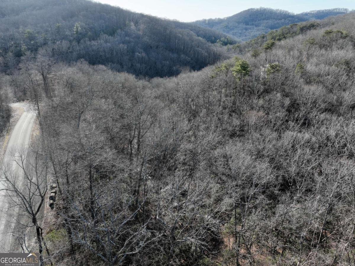 216 St Andrews Way Ellijay - 49