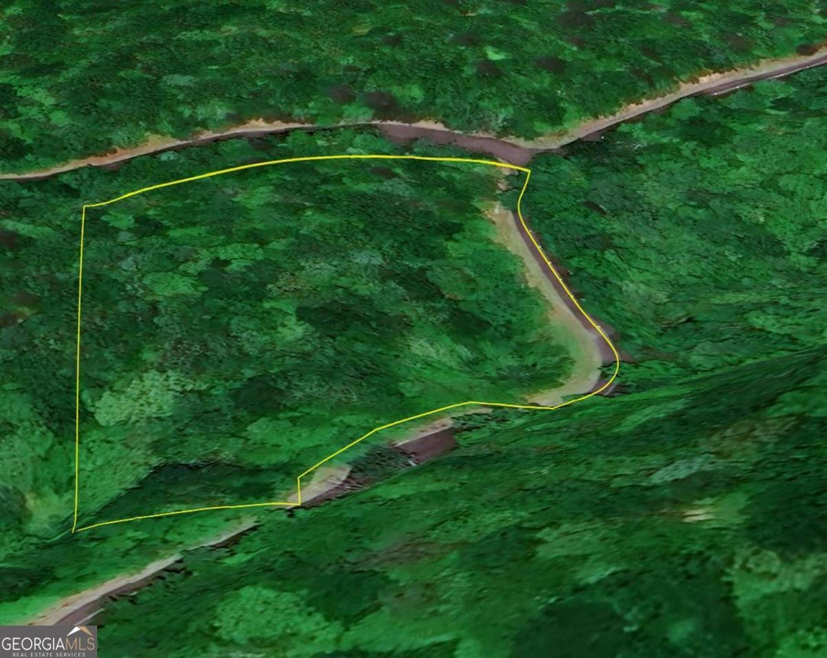 216 St Andrews Way Ellijay - 51