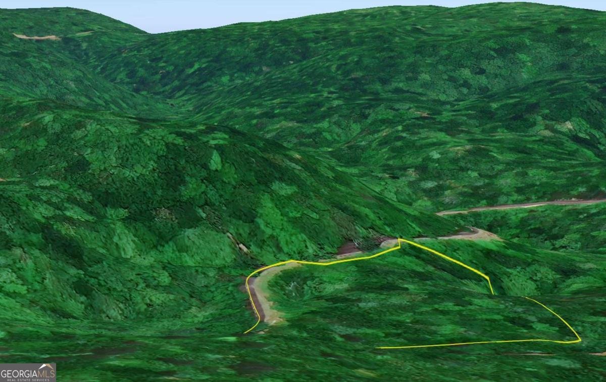 216 St Andrews Way Ellijay - 52