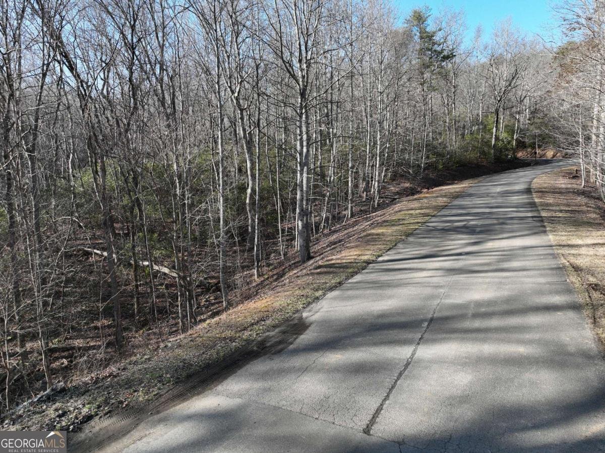 216 St Andrews Way Ellijay - 53