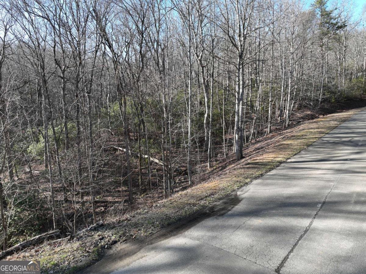 216 St Andrews Way Ellijay - 54