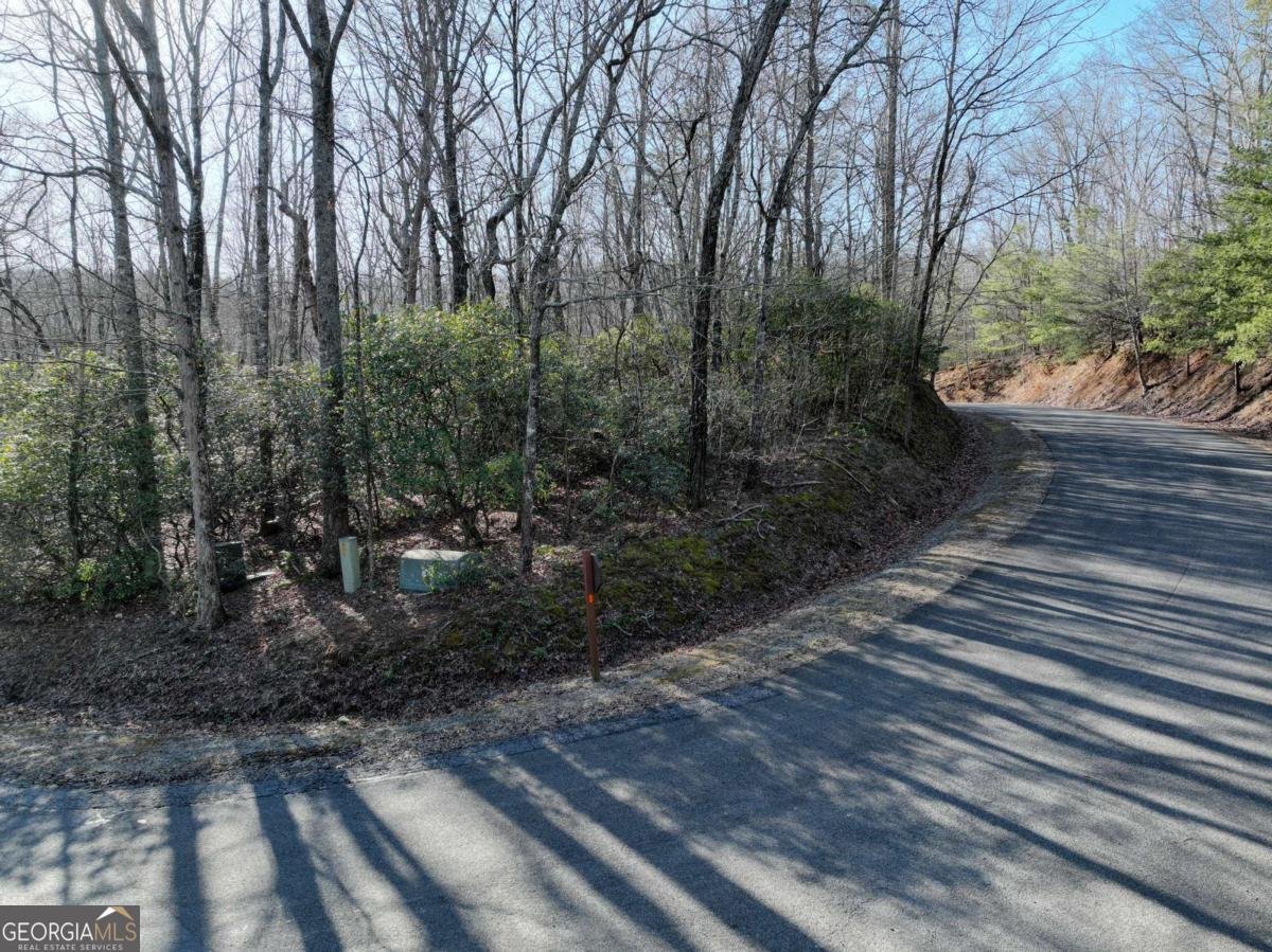 216 St Andrews Way Ellijay - 55