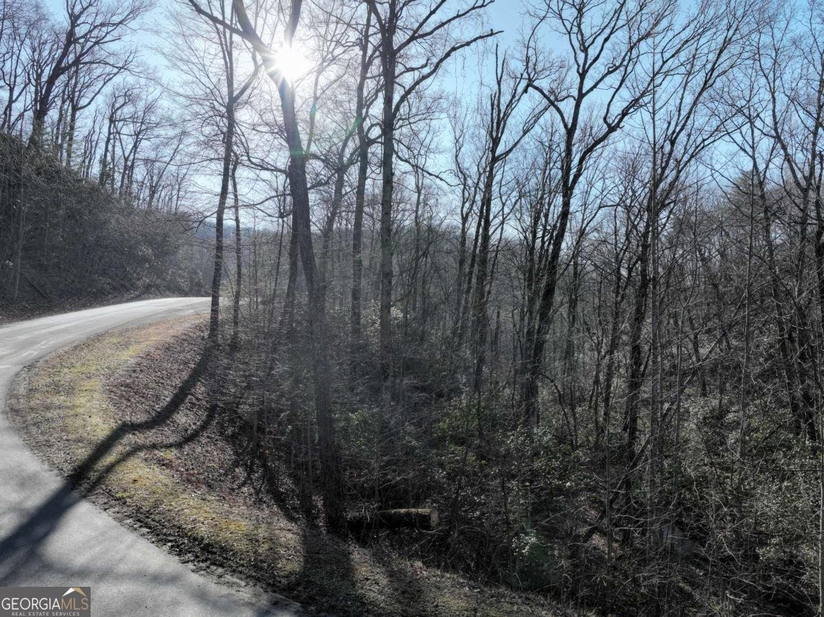 216 St Andrews Way Ellijay - 56